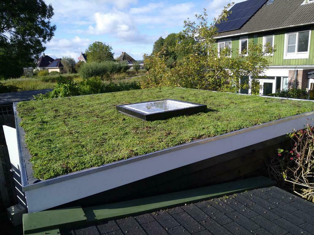 Timmerwerk en onderhoud