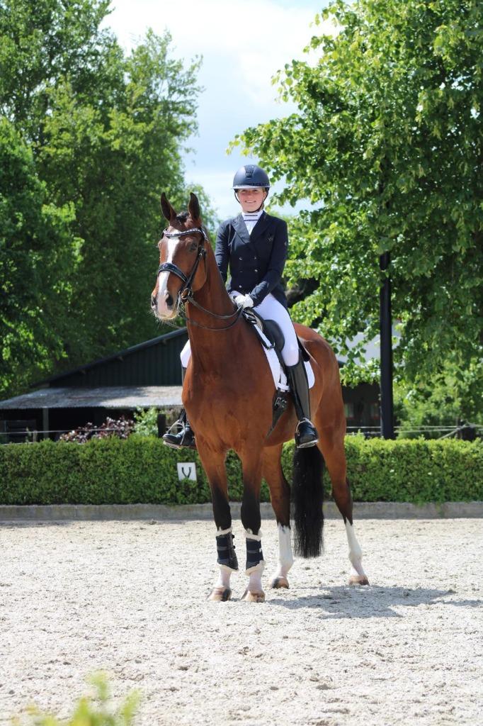 SPORTTALENT 2025 biedt leuke paardrijles!, Verzorging of Verzorgpony's
