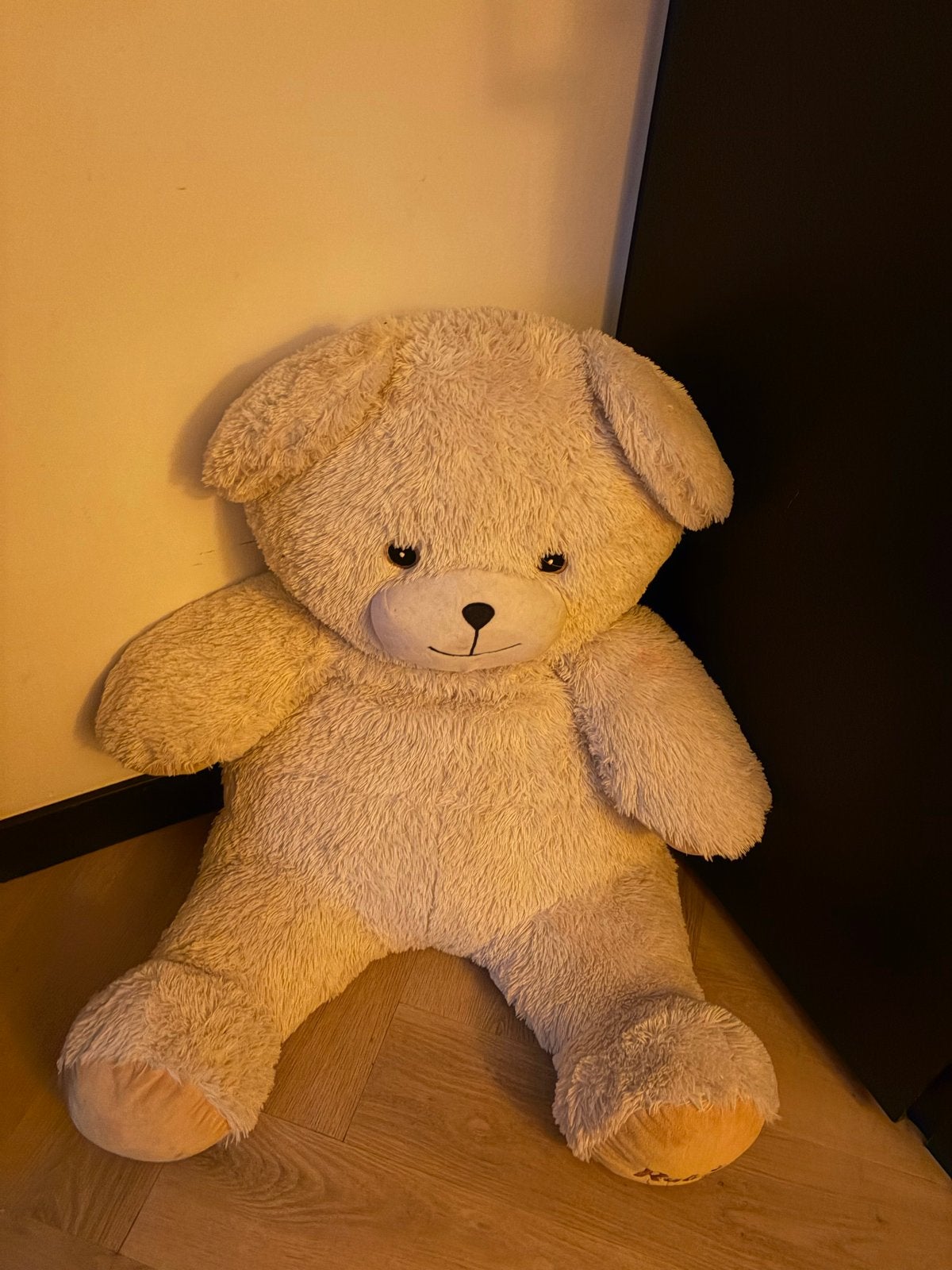 Grote zachte beige teddybeer ( robijn), Beer, Ophalen of Verzenden, Zo goed als nieuw, Middelgroot (20 tot 80 cm)