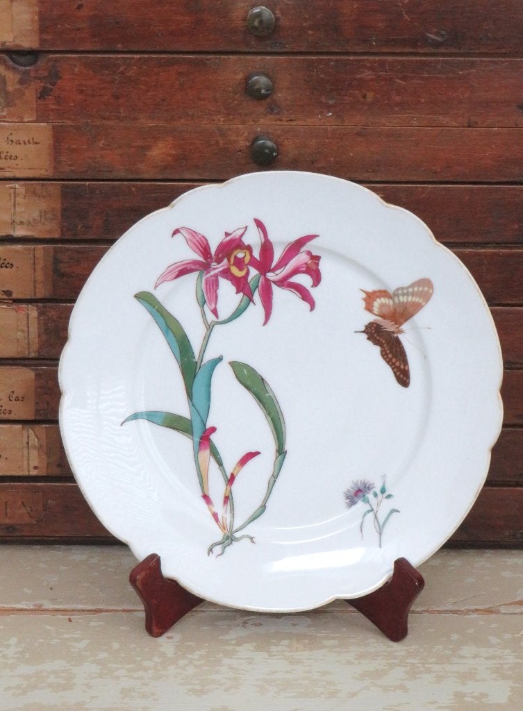 Oud bord “Orchidee, vlinder en korenbloem”, Ophalen of Verzenden