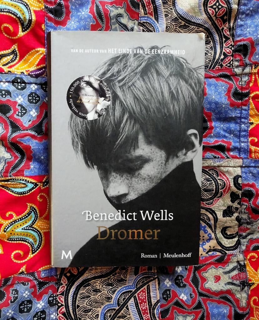 Dromer - Benedict Wells, Boeken, Verzenden, Gelezen