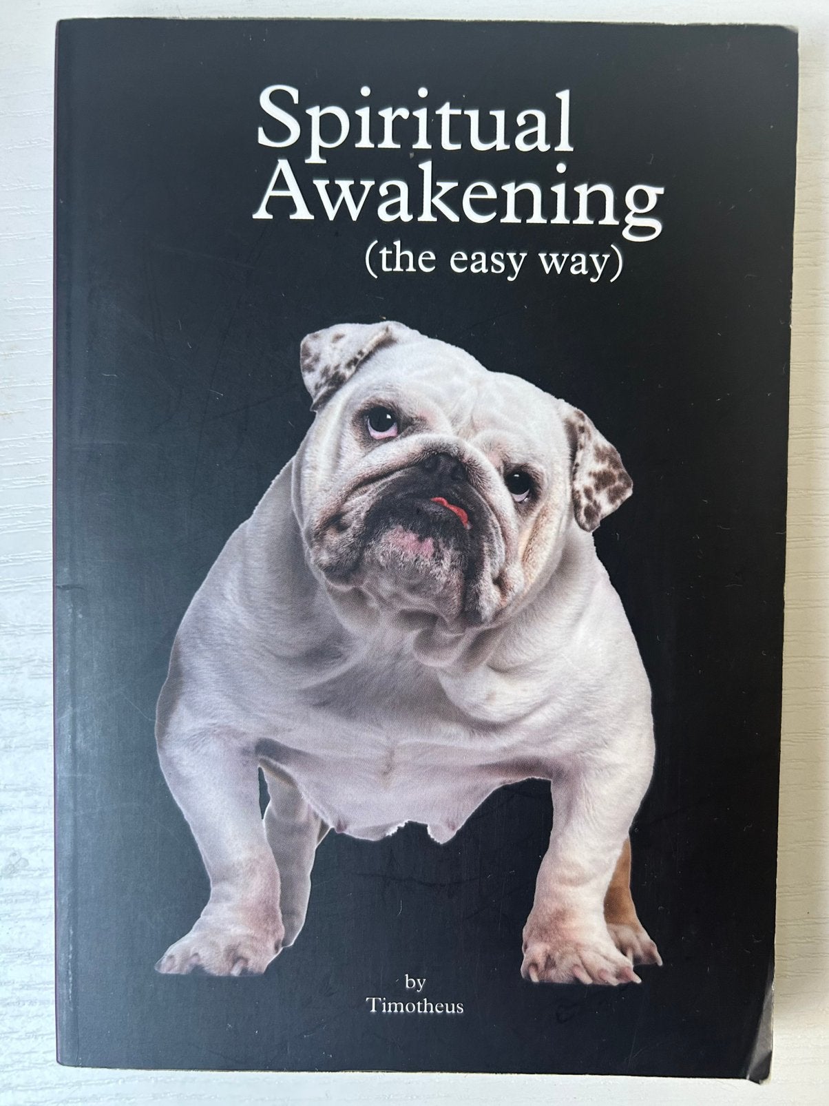 Spiritual Awakening, Achtergrond en Informatie, Spiritualiteit algemeen, Ophalen of Verzenden, Zo goed als nieuw