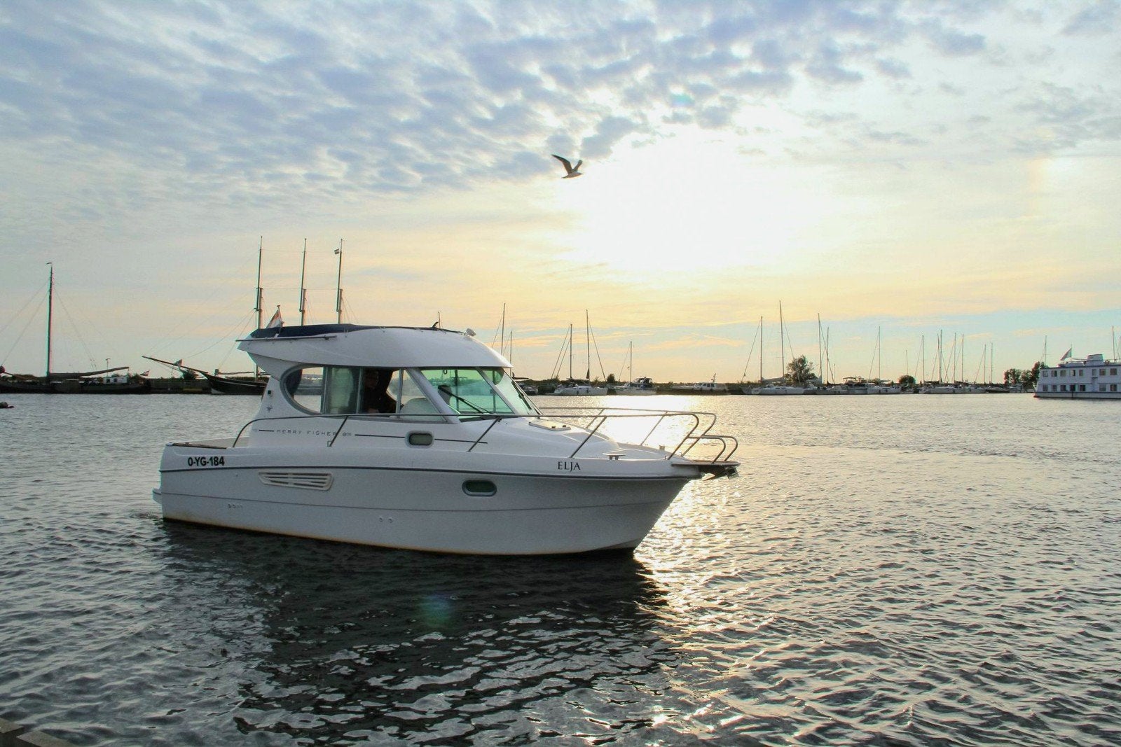 Jeanneau Merry Fisher 805, Jeanneau, Gebruikt, Diesel, Biminitop