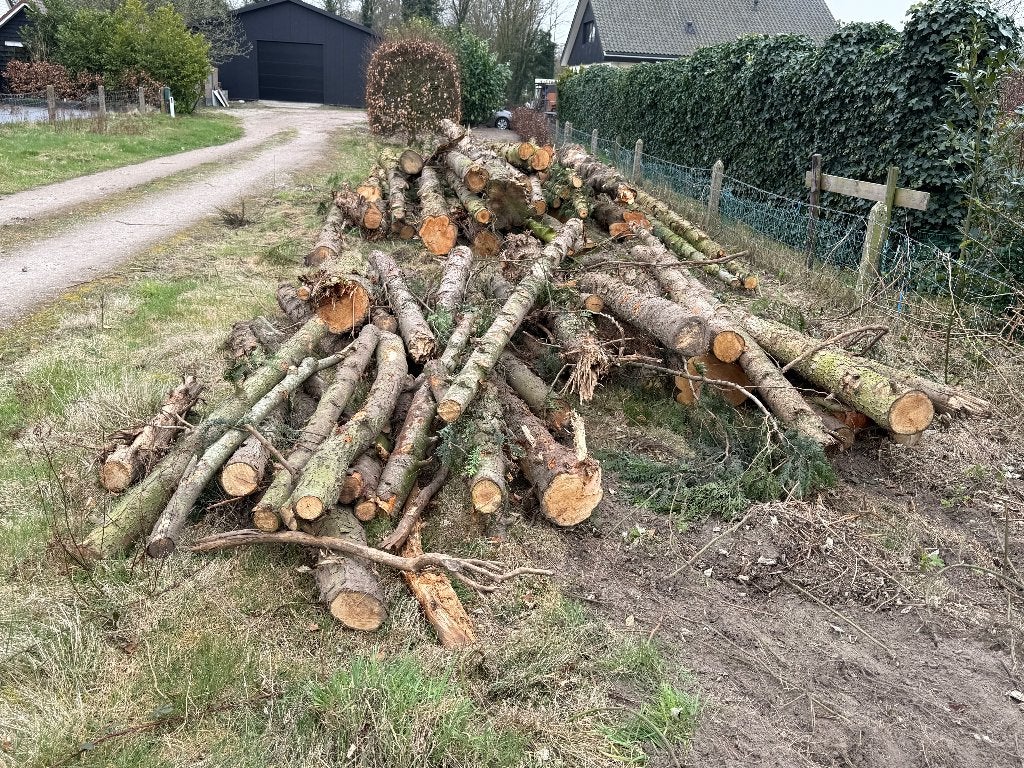 Diverse boomstammen, ca. 30 stuks, 10+ meter lang, 6 m³ of meer, Ophalen, Overige houtsoorten, Stammen