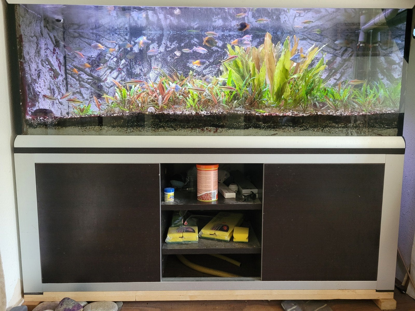 aquarium 570 liter, Ophalen of Verzenden, Gebruikt, Overige merken