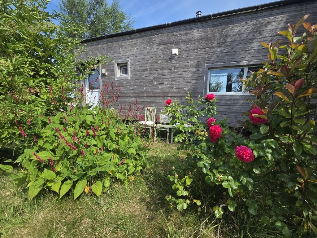 Tiny House met Jaarplaats te koop, Vakantie, Internet, Overige typen, Landelijk, 1 slaapkamer