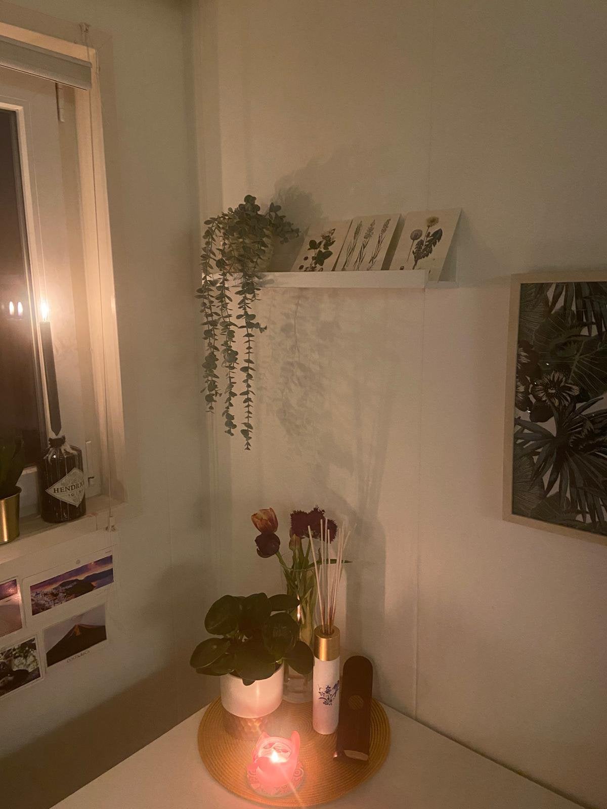 Shelf, Ophalen, Gebruikt