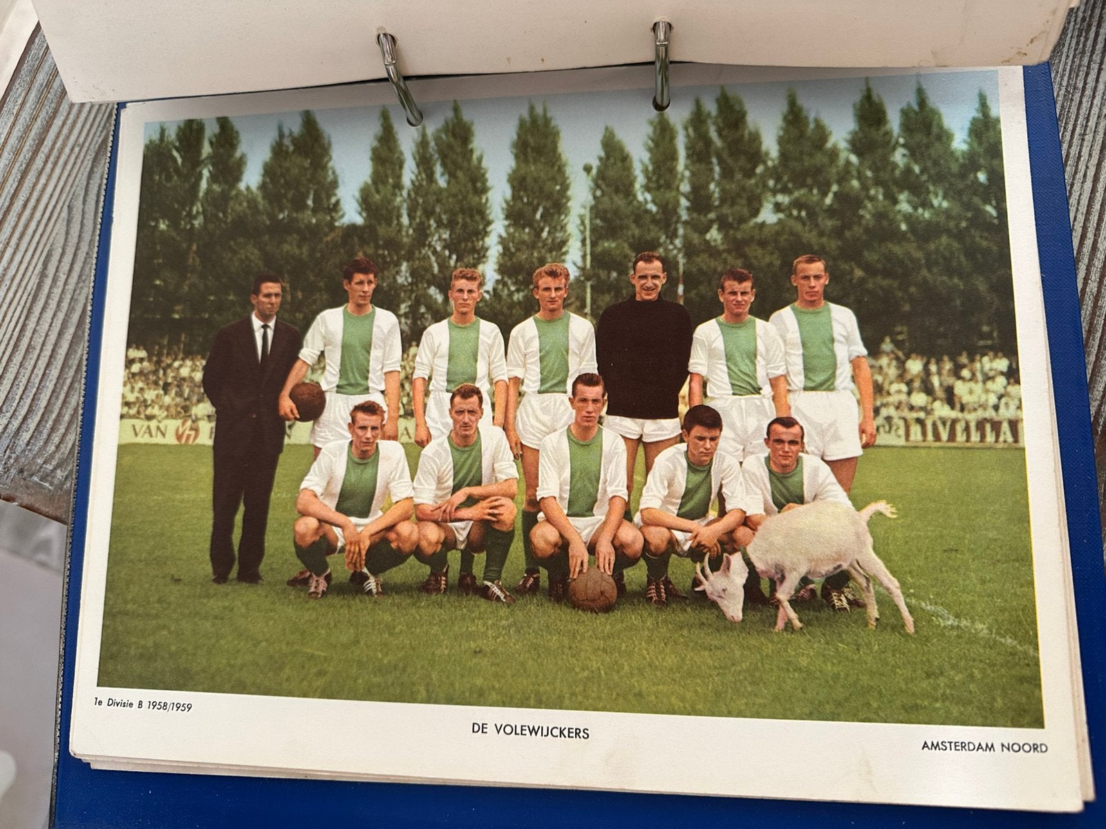 1958 /1959 33x Esso Voetbal teams afbeeldingen op karton A4, Verzamelen, Ophalen of Verzenden, Gebruikt, Overige binnenlandse clubs
