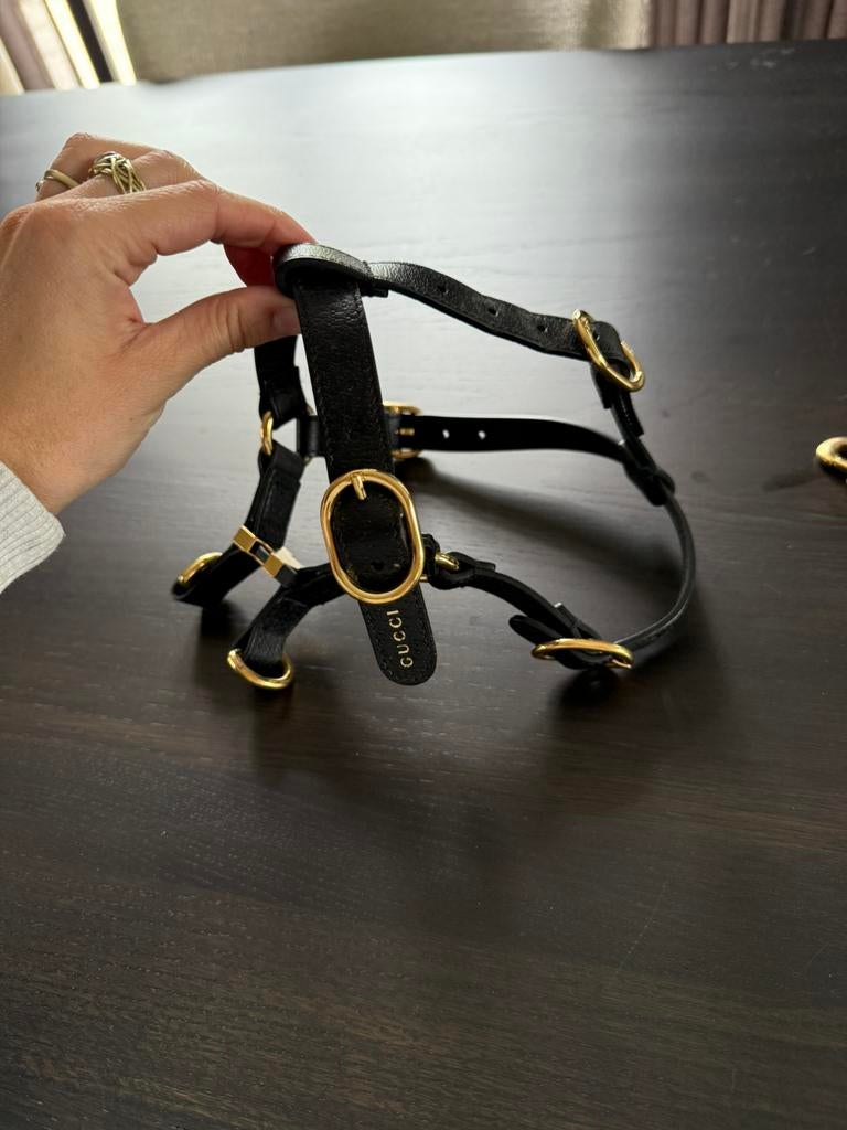 Gucci honden riem + tuig, Ophalen of Verzenden, Zo goed als nieuw