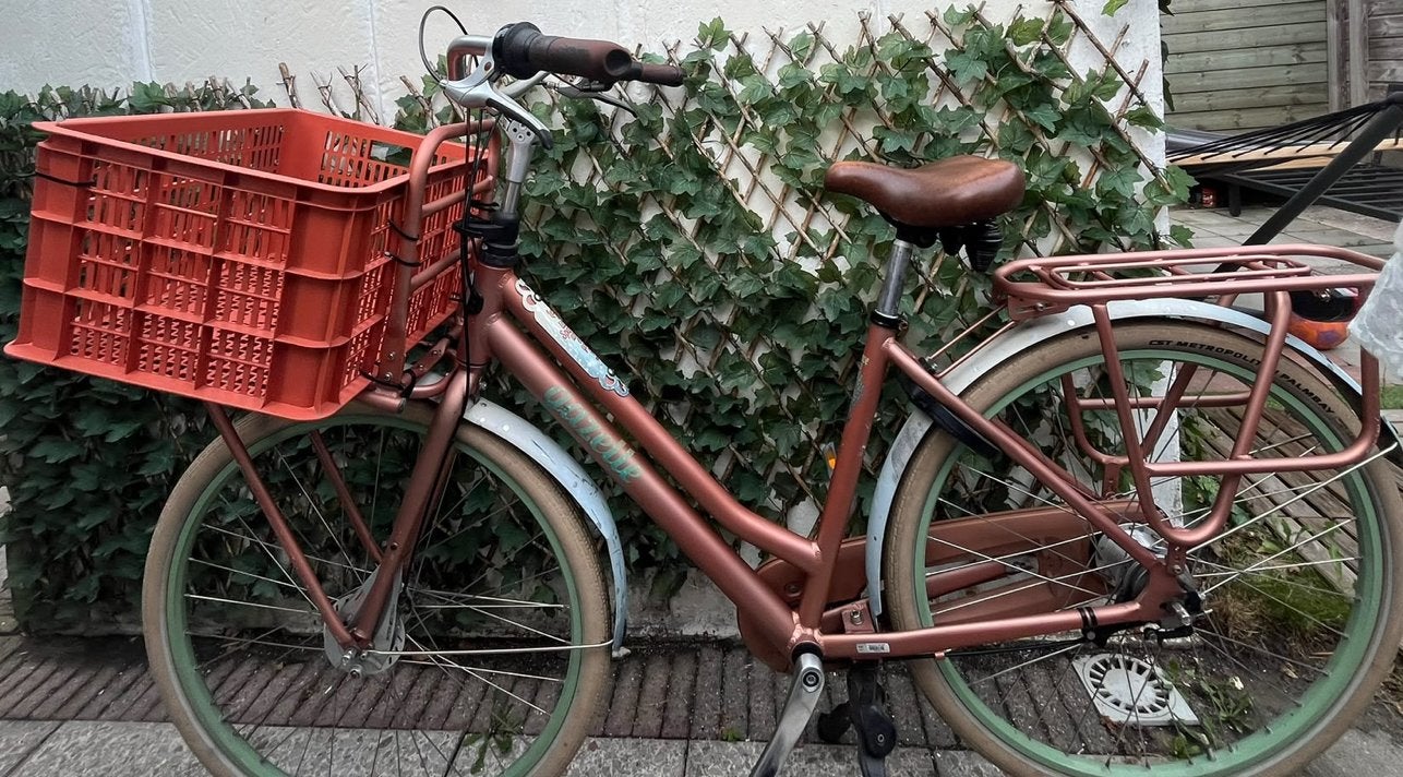 Damesfiets met voordrager en krat, Versnellingen, Ophalen of Verzenden, Gazelle, Trommelrem