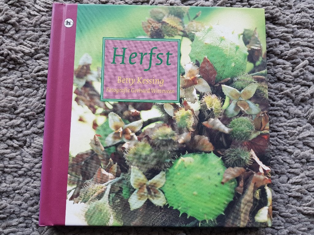 Boek : Herfst - Betty Kessing - maken van decoraties (nieuw), Boeken, Ophalen of Verzenden, Nieuw, Scrapbooking en Knutselen, Betty Kessing