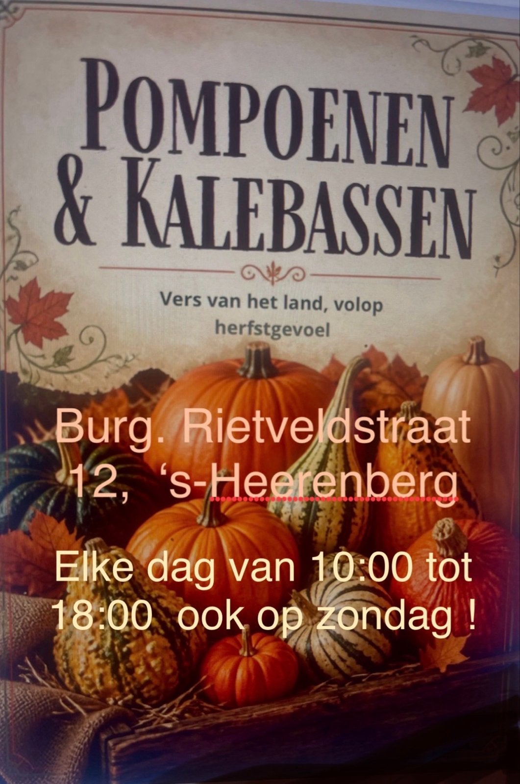 Pompoenen en kalebassen te koop in 's-Heerenberg, Volle zon, Groenteplanten, Eenjarig, Ophalen of Verzenden