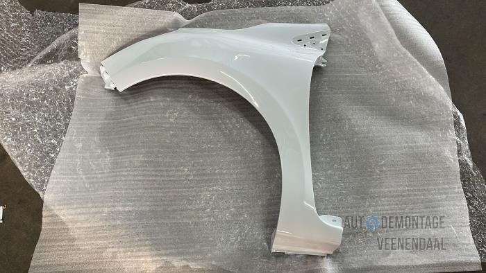 Scherm links-voor van een Renault Clio (OV369), -, Renault, -, Nieuw