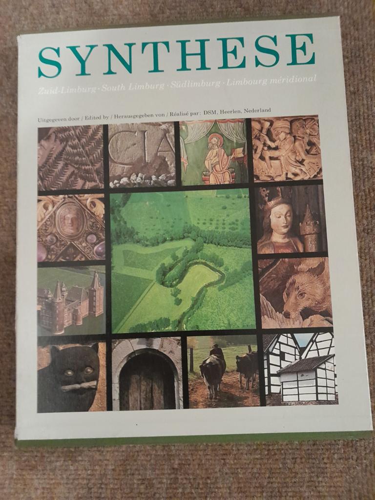 Synthese, Boeken, Geschiedenis | Stad en Regio, Ophalen of Verzenden, Zo goed als nieuw