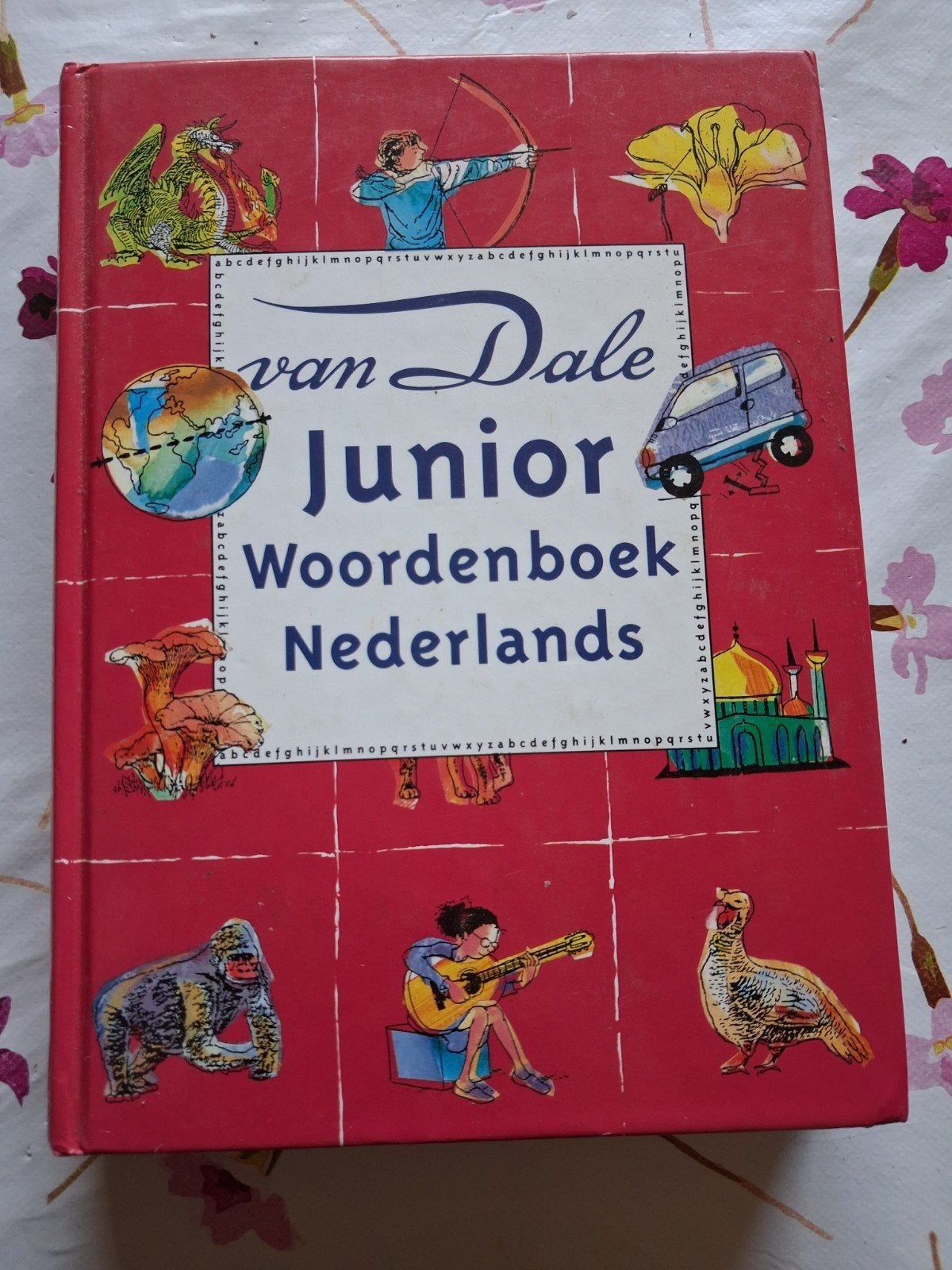 Van Dale Junior Woordenboek Nederlands, Boeken, Van Dale, Nederlands, Ophalen of Verzenden, Zo goed als nieuw