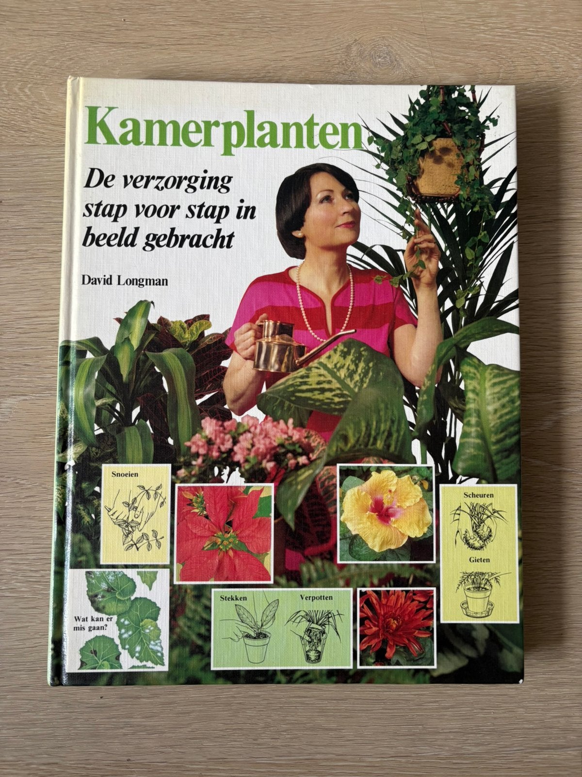 Kamerplanten - David Longman, Ophalen of Verzenden, Zo goed als nieuw, Tuinieren en Tuinplanten
