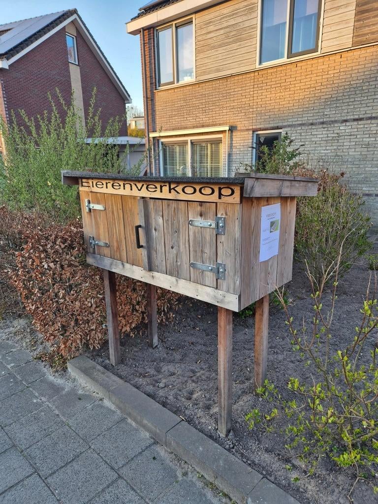 Verse Eieren, Dieren en Toebehoren, Pluimvee, Kip, Geslacht onbekend