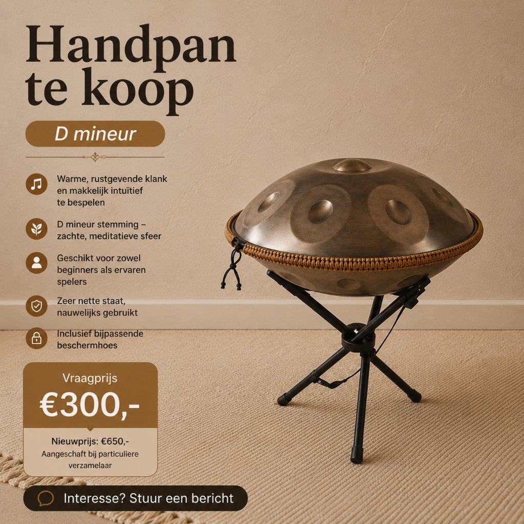 Handpan D Mineur, Muziek en Instrumenten, Percussie, Ophalen, Zo goed als nieuw, Melodische percussie