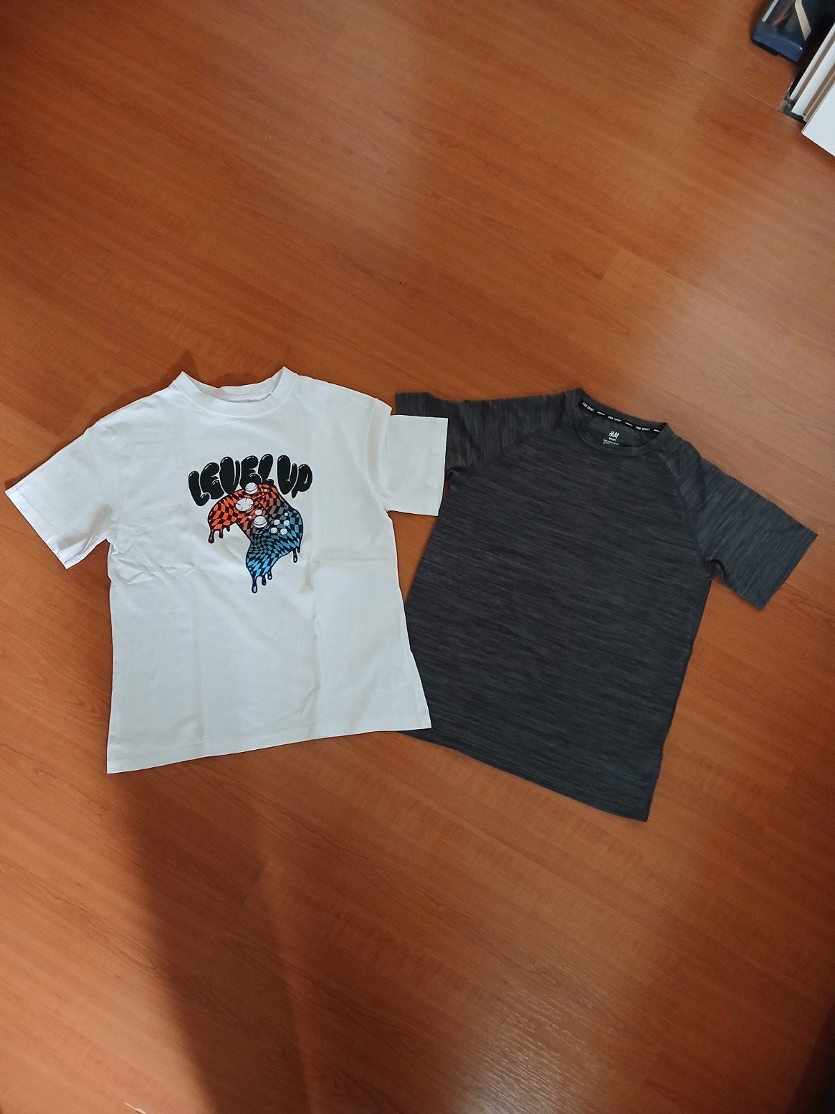2 t-shirts maat 158, H&M, Ophalen of Verzenden, Zo goed als nieuw, Shirt of Longsleeve