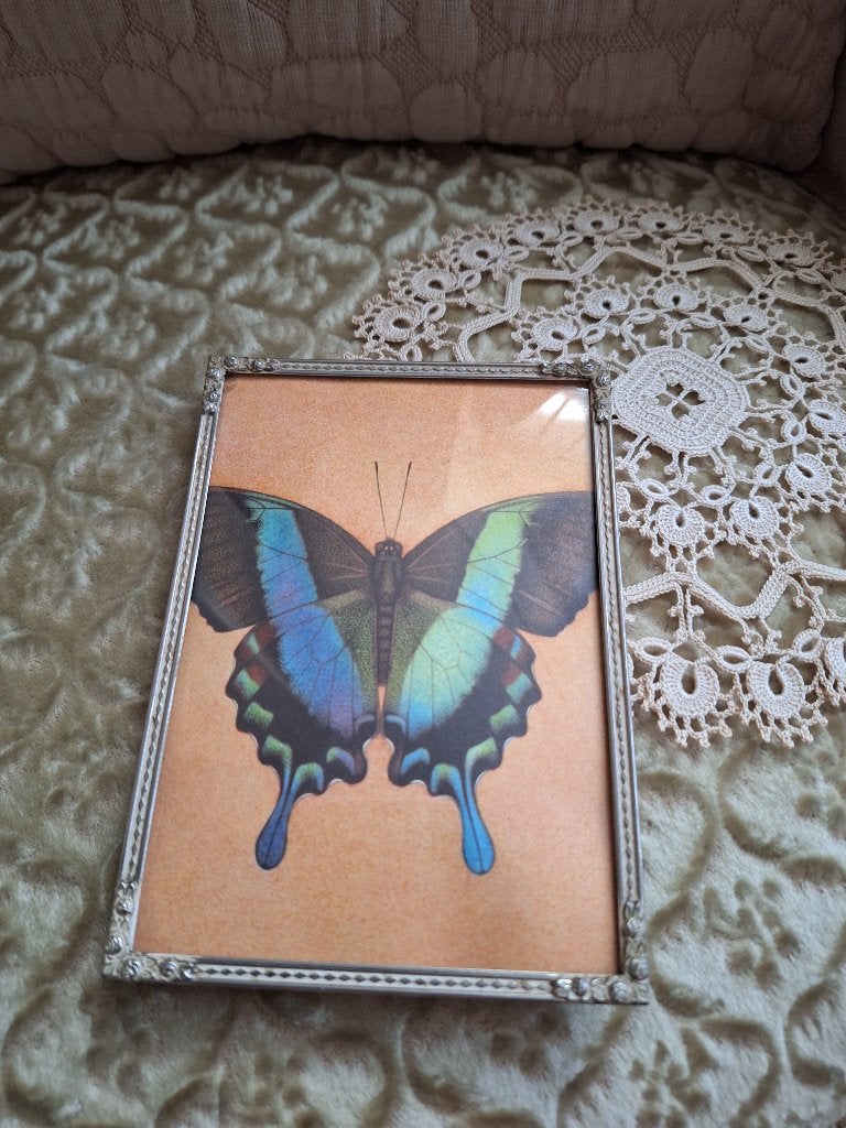 Vintage Fotolijstje met Bol Glas en Rozen Hoekjes **Mimosa**, Ophalen of Verzenden