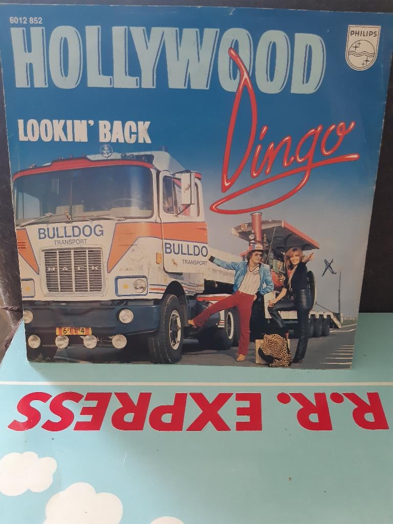 hollywood - dingo  g, Verzenden, 7 inch, Zo goed als nieuw, Pop