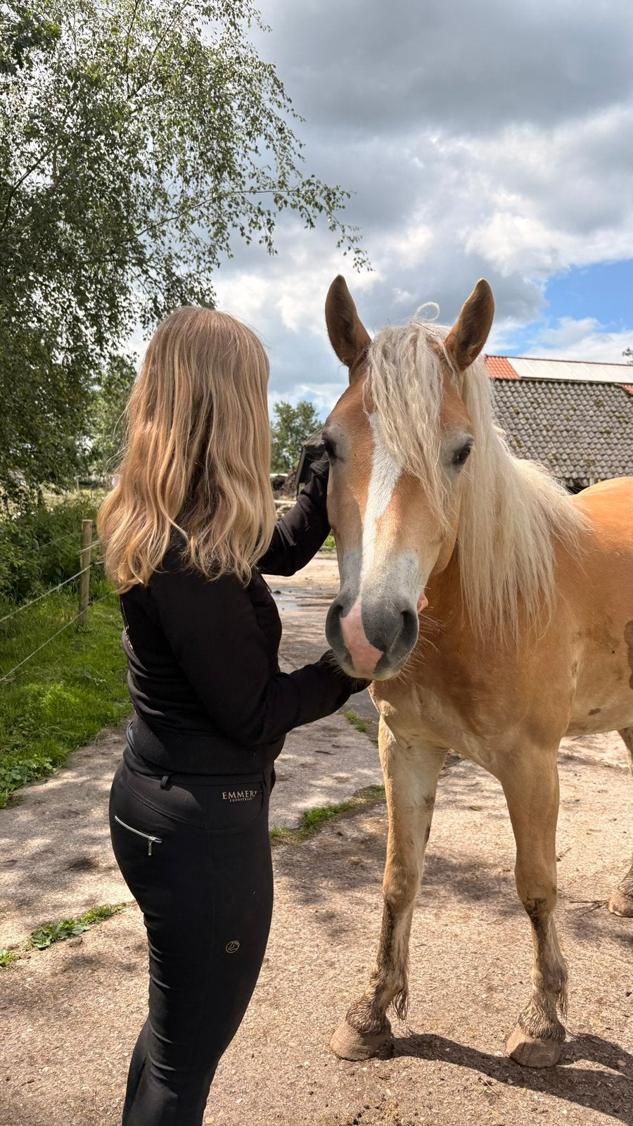 Leaser gezocht, 1 paard of pony