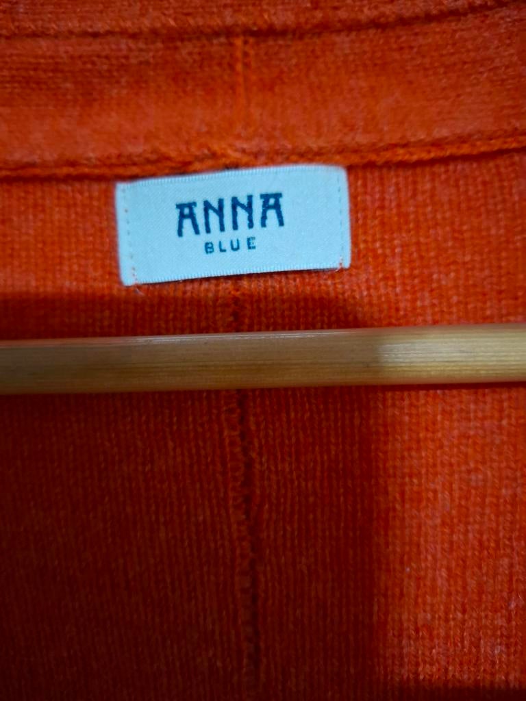 Anna Blue Oranje Vest - Maat XL, Kleding | Dames, Ophalen of Verzenden, Zo goed als nieuw, Maat 46/48 (XL) of groter, Oranje