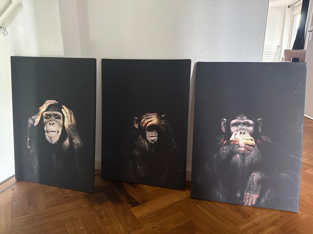 Canvas horen zien en zwijgen, 50x70, Ophalen, Gebruikt, Print
