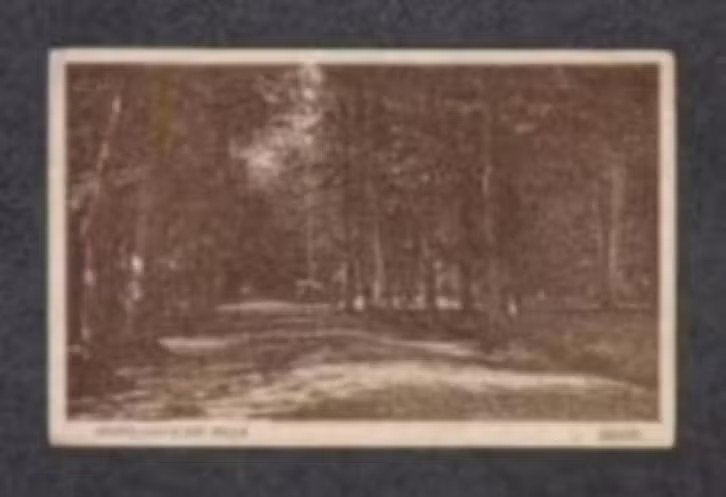 Assen Drenthe Hoofdlaan in het Bosch 1930., Ophalen of Verzenden, 1920 tot 1940, Gelopen, Drenthe