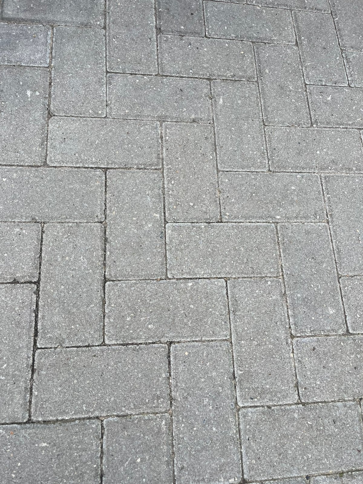 Circoton betonstraatstenen 21x10,5x8cm, Ophalen, Klinkers, Nieuw, 10 m² of meer