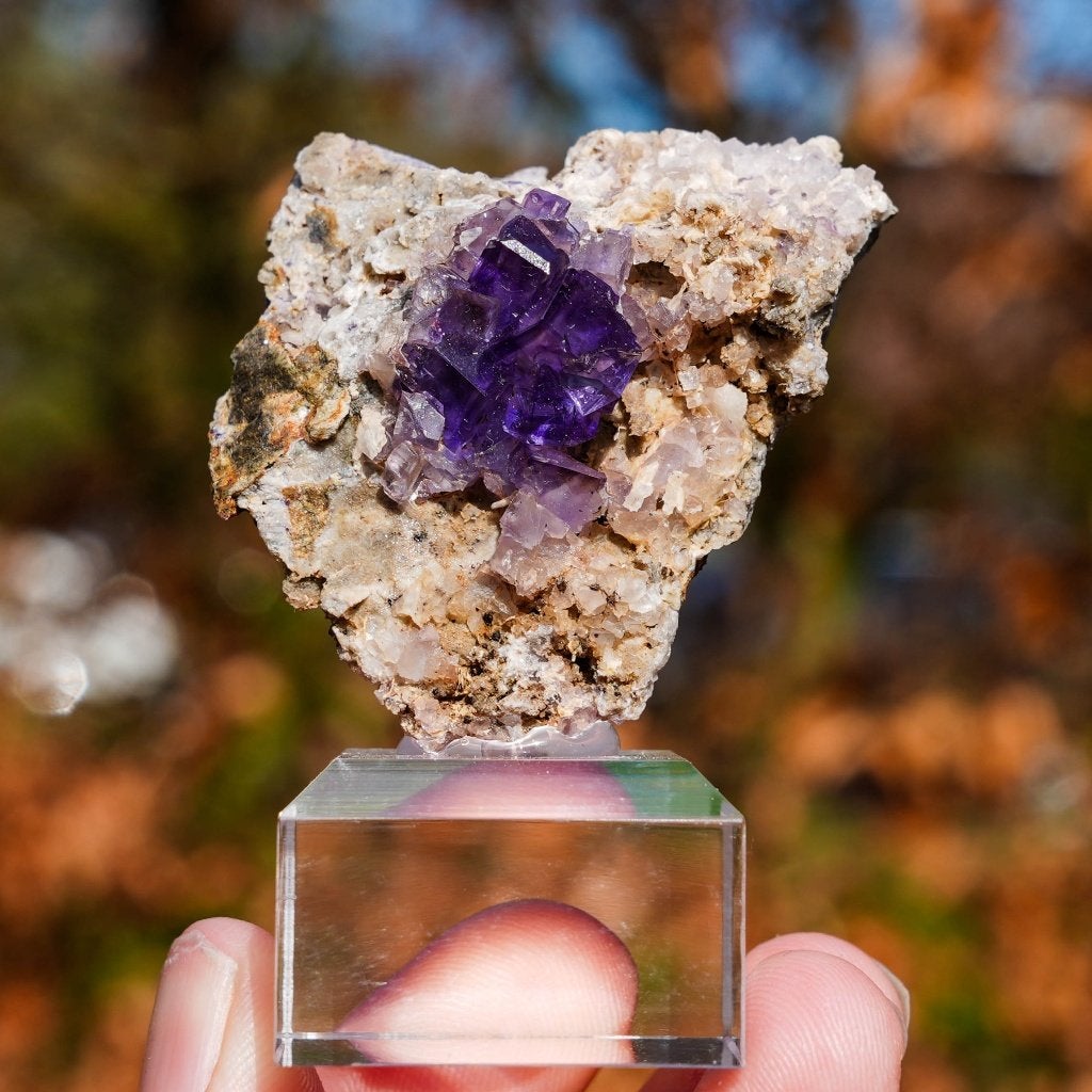 Fluoriet uit Berbes #9, Ophalen of Verzenden, Mineraal