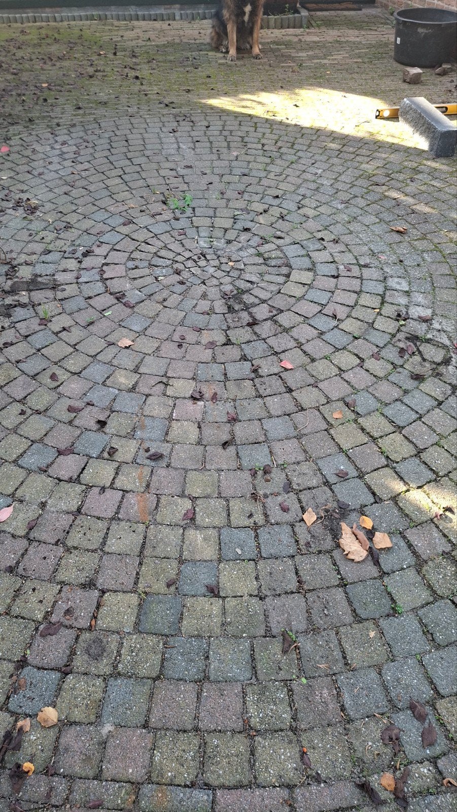 Gratis 50m2 klinkers inclusief cirkel, zelf ophalen, Tuin en Terras, Gebruikt, Klinkers, Ophalen of Verzenden, 10 m² of meer