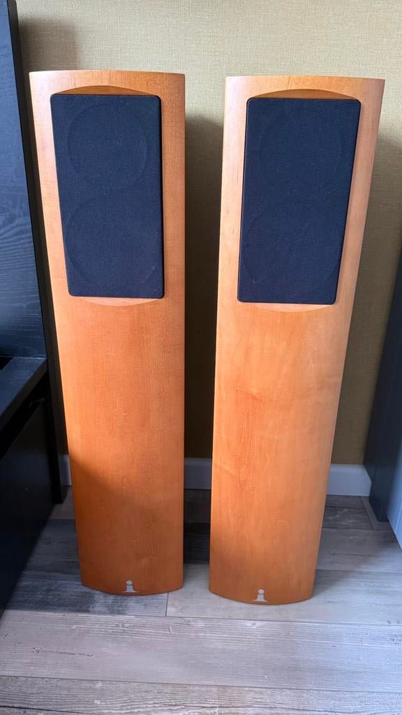 Impulse Kora Rare Vintage Horn-loaded speakers, Audio, Tv en Foto, Zo goed als nieuw, Minder dan 60 watt, Front, Rear of Stereo speakers