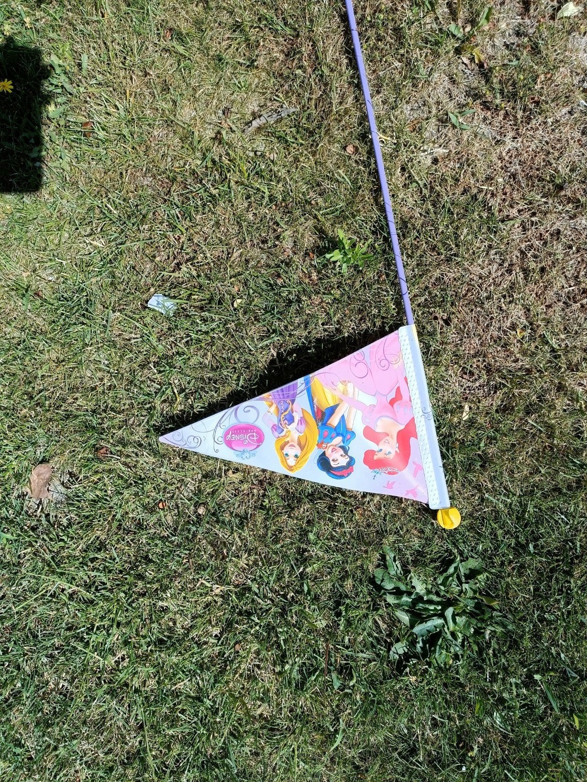 Fiets vlag Disney prinsessen roze, Ophalen, Zo goed als nieuw