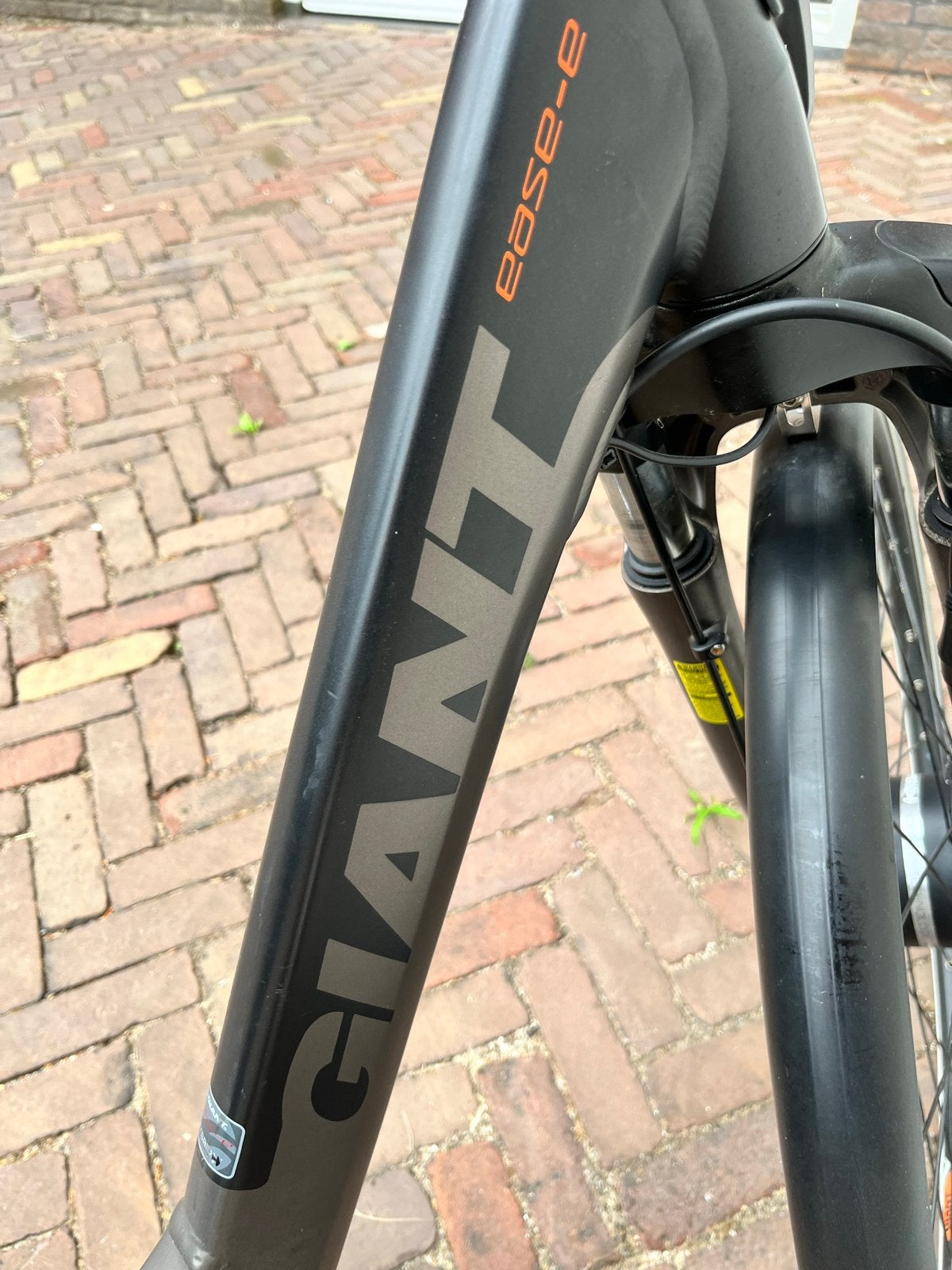 Giant Ease E+ elektrische fiets met 2 accu's en tassen, Fietsen en Brommers, Ophalen, Gebruikt, Giant, 59 cm of meer