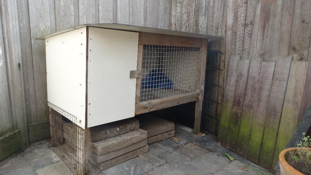 Konijnenhok, Dieren en Toebehoren, Knaagdieren en Konijnen | Hokken en Kooien, Ophalen, 60 tot 90 cm, Konijn, Hok