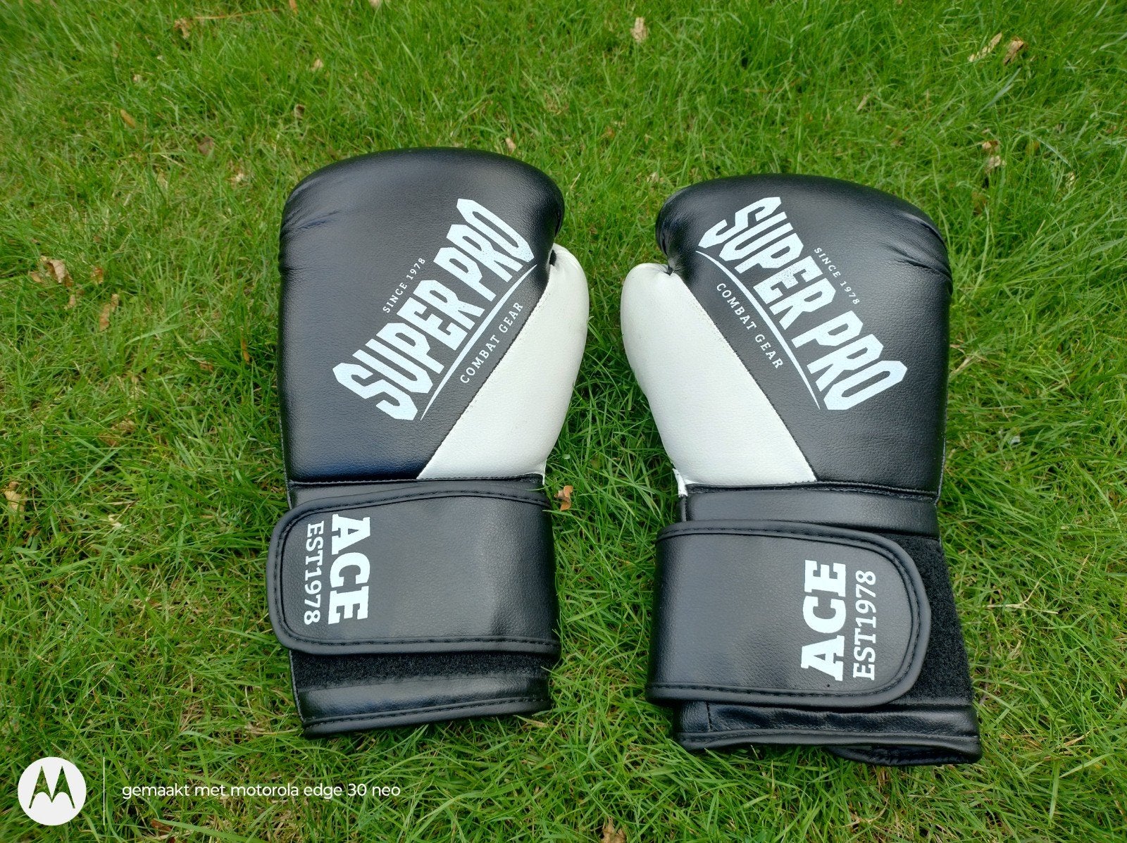 Super Pro Combat Gear Bokshandschoenen 10 oz. 12 jarig kind, Sport en Fitness, Vechtsporten en Zelfverdediging, Maat XS of kleiner