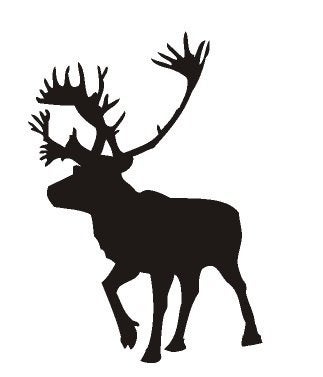 camper caravan sticker rendier