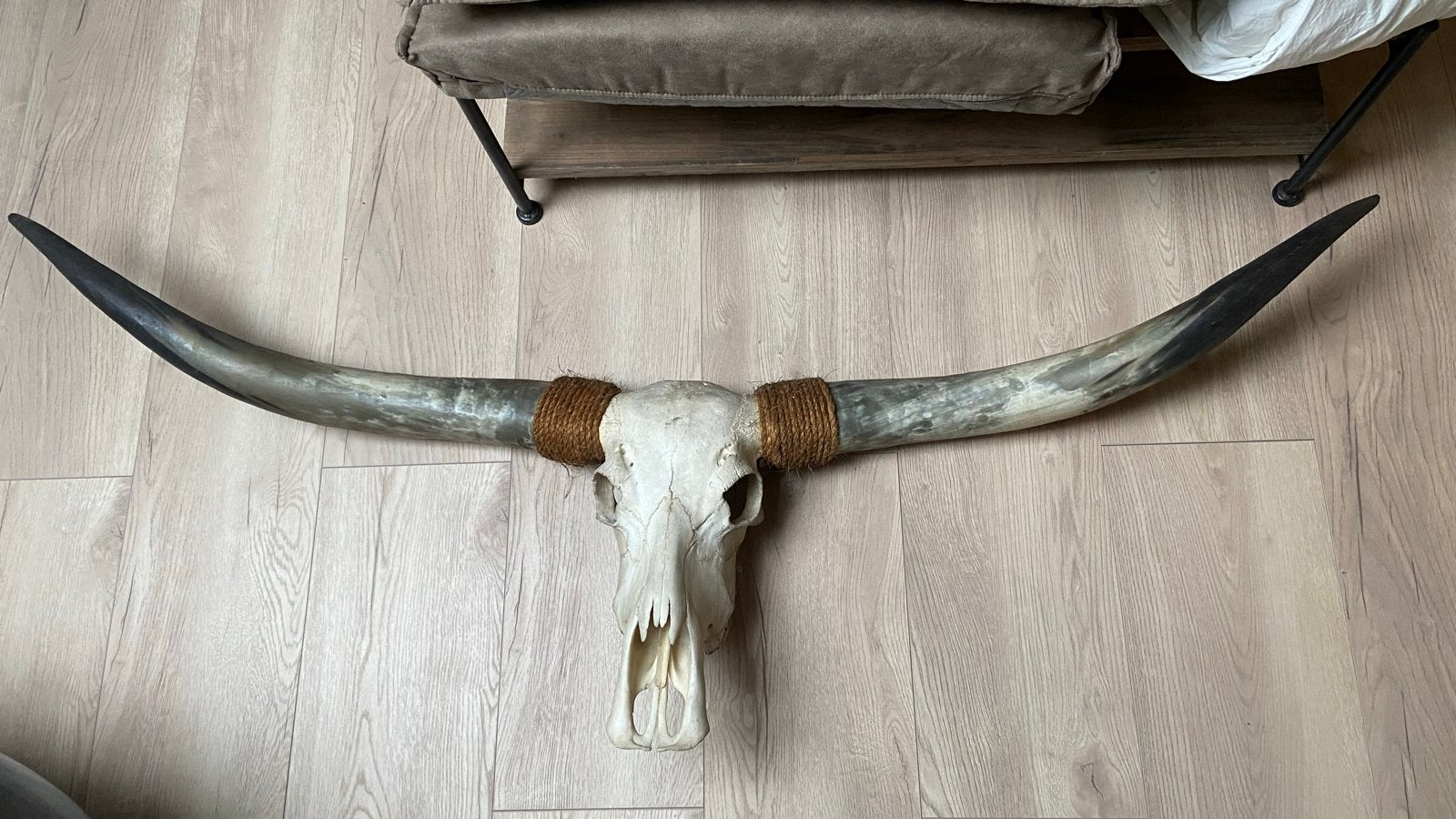 Decoratieve schedel met hoorns, Huis en Inrichting, Ophalen, Vintage, Gebruikt, Beige