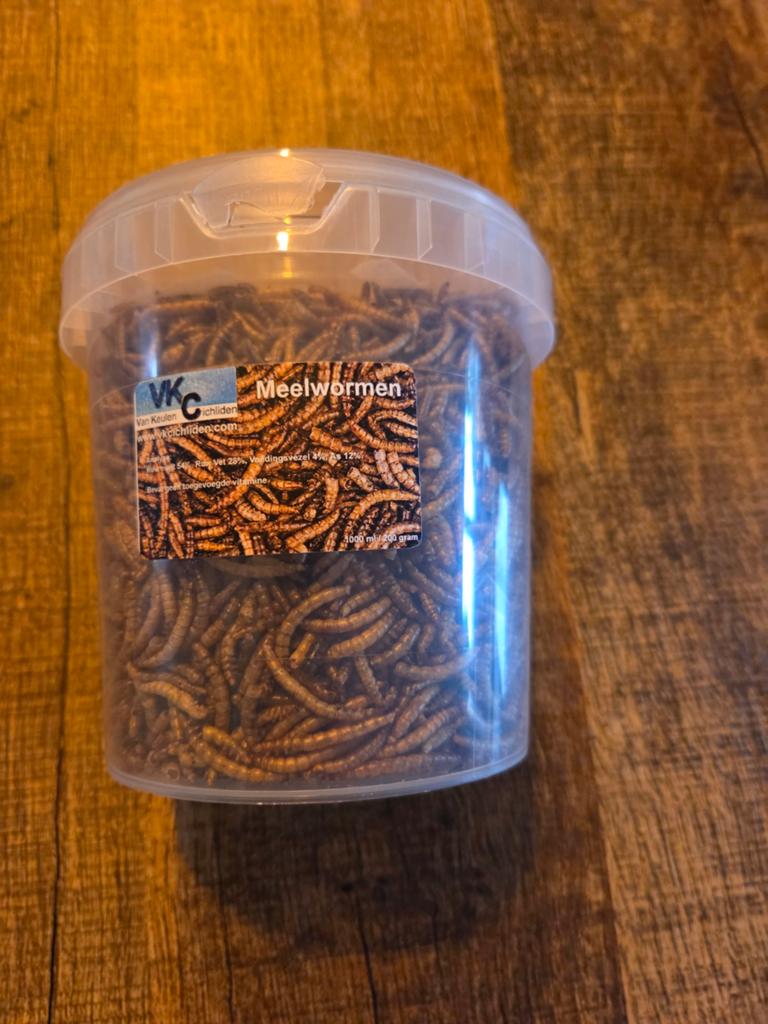 Meelwormen voedsel voor vissen, Ophalen