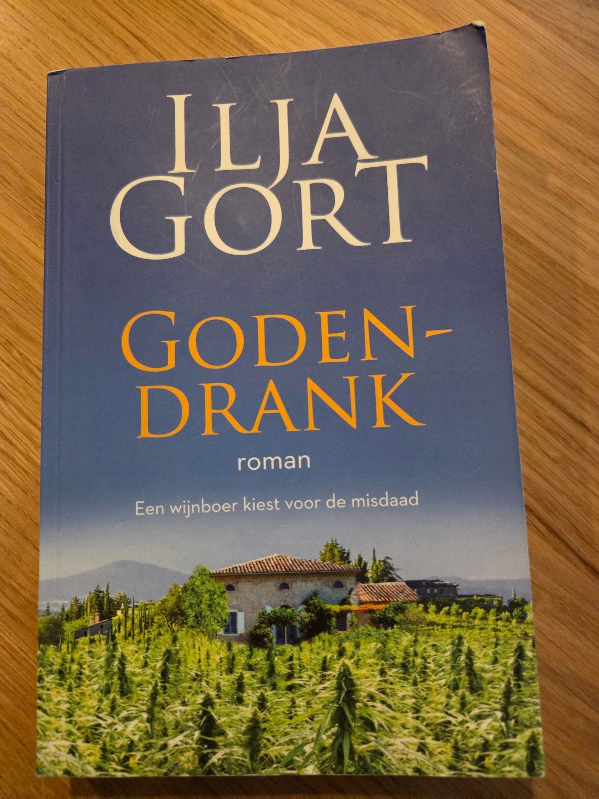 Godendrank - Ilja Gort (roman), Ophalen of Verzenden, Zo goed als nieuw, Ilja Gort, Nederland