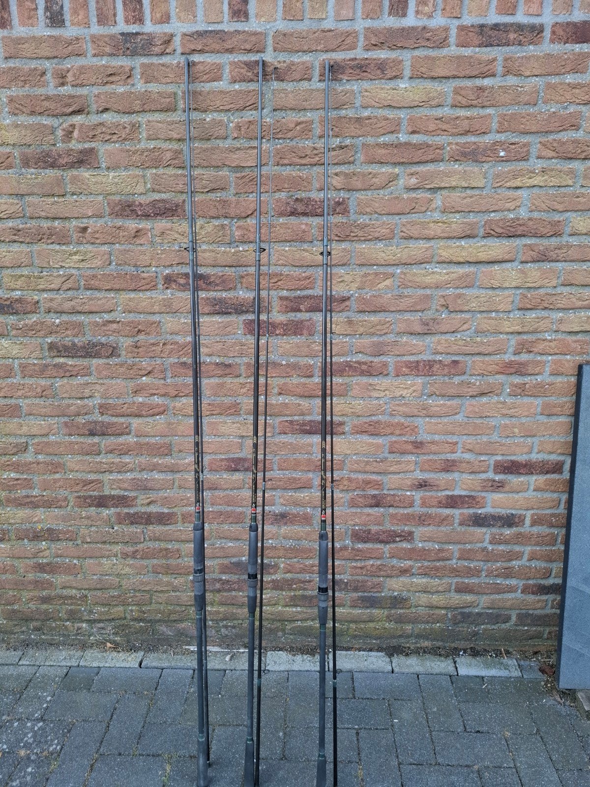 Dam hengels, Ophalen, Zo goed als nieuw, Werphengel