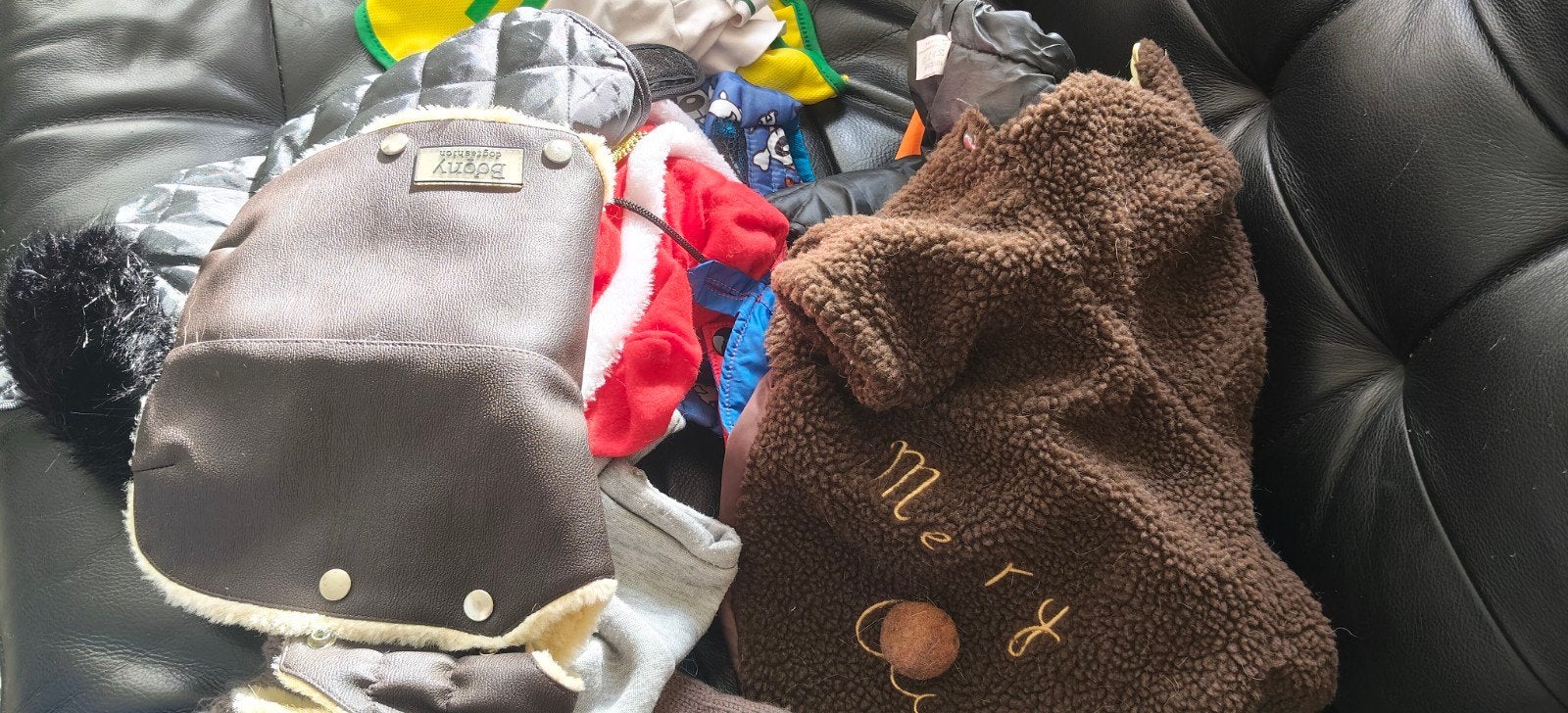 Hondenkleertjes maat Chihuahua, Dieren en Toebehoren, Ophalen, Gebruikt