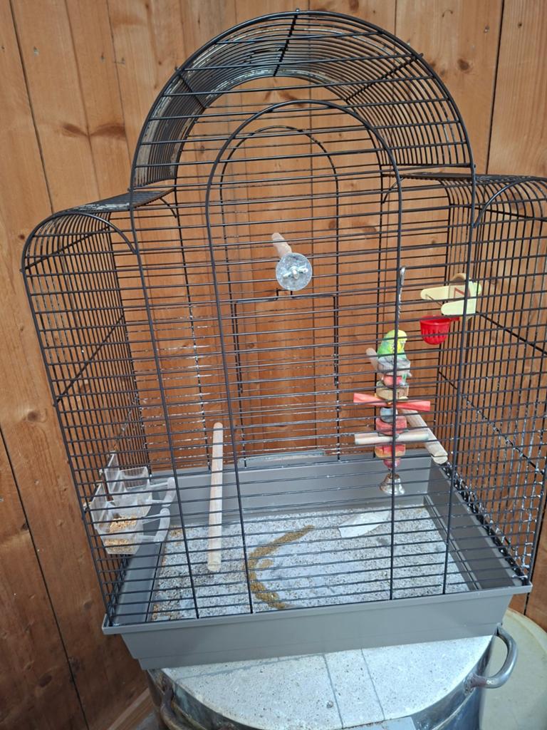 Vogelkooi, Ophalen, Metaal, Vogelkooi