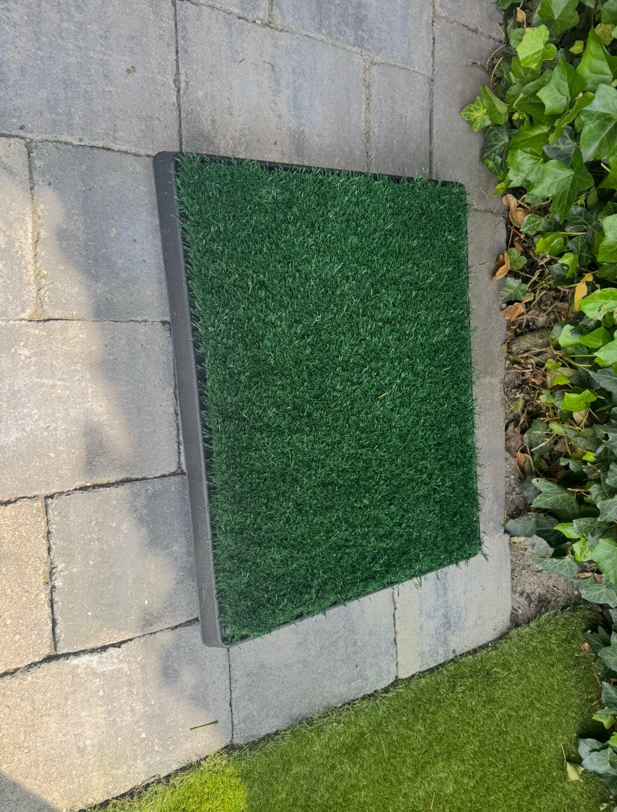 Honden toilet, Dieren en Toebehoren, Ophalen