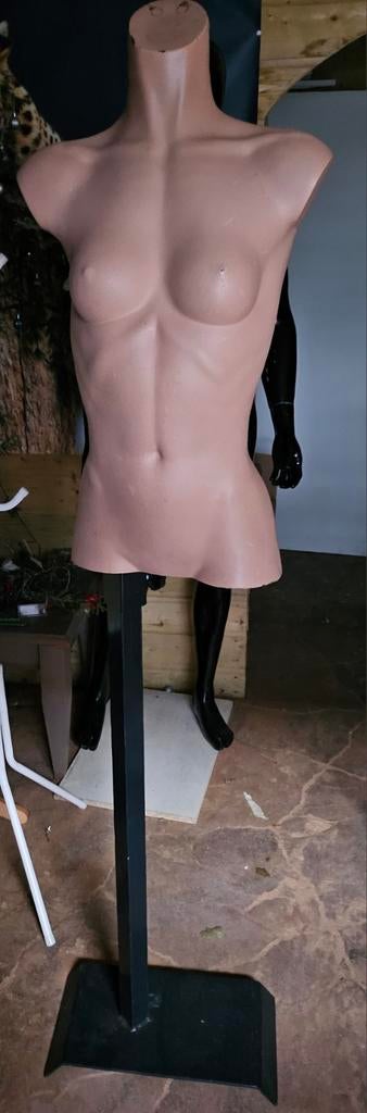 Torso paspop op standaard met zware voet, Ophalen
