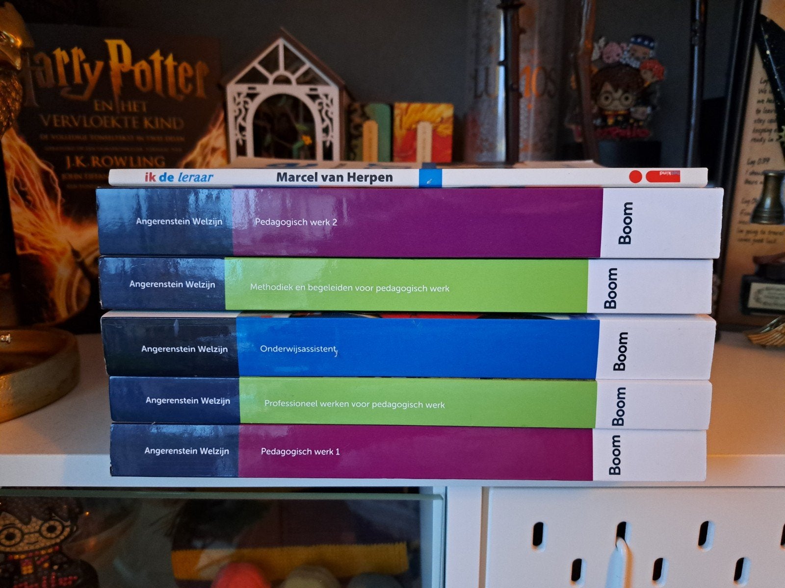 Boeken opleiding Kindprofessional niveau 4, Ophalen of Verzenden, Zo goed als nieuw, MBO, Angerenstein Welzijn, Marcel van Herpen