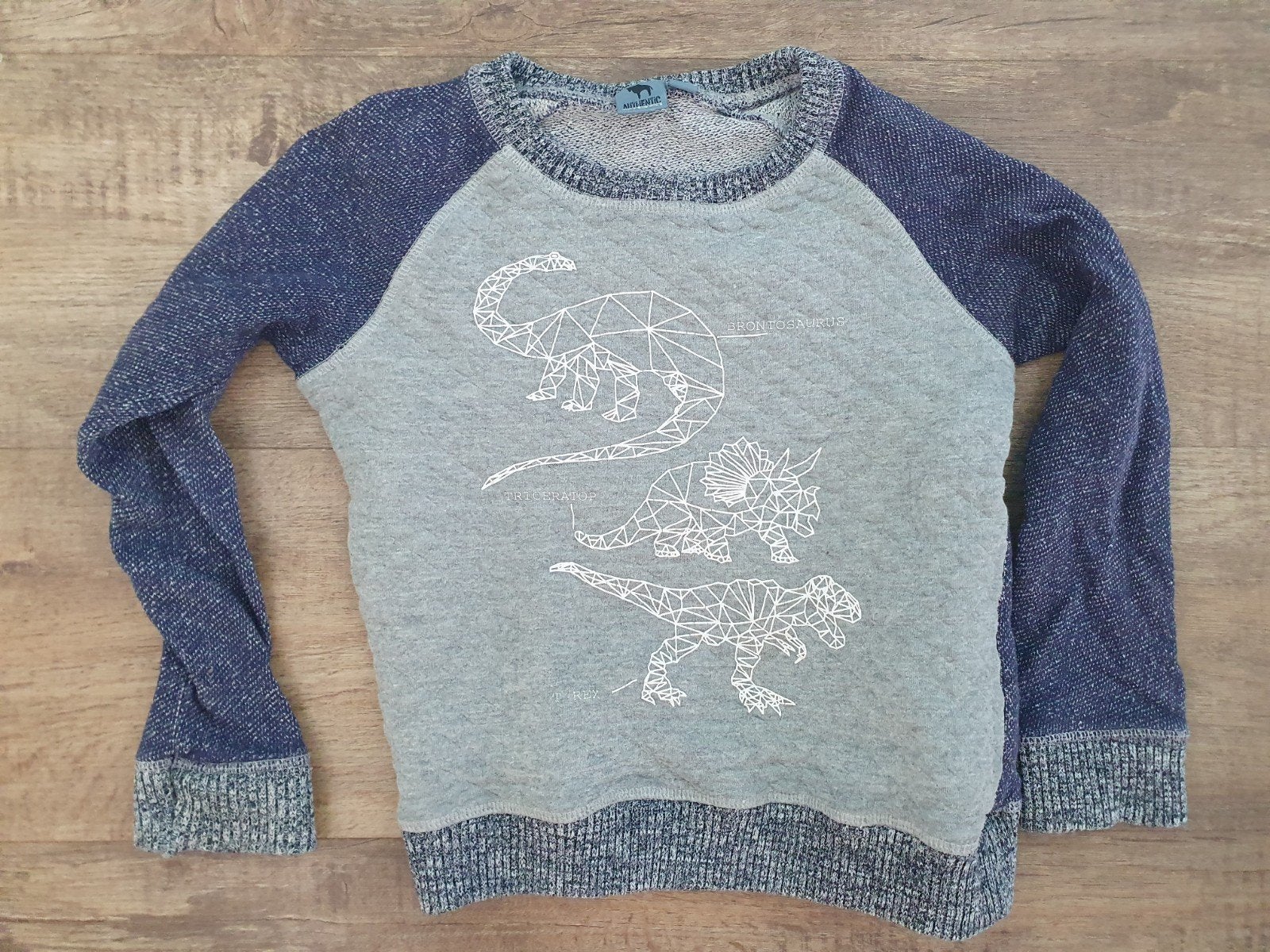 dinotrui maat 110-116, Kinderen en Baby's, Ophalen of Verzenden, Gebruikt, Jongen, Trui of Vest