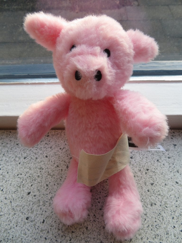Varken Varkentje van Hema super zacht velours meet ca 20 cm, Kinderen en Baby's, Hema, Overige typen, Ophalen of Verzenden, Zo goed als nieuw