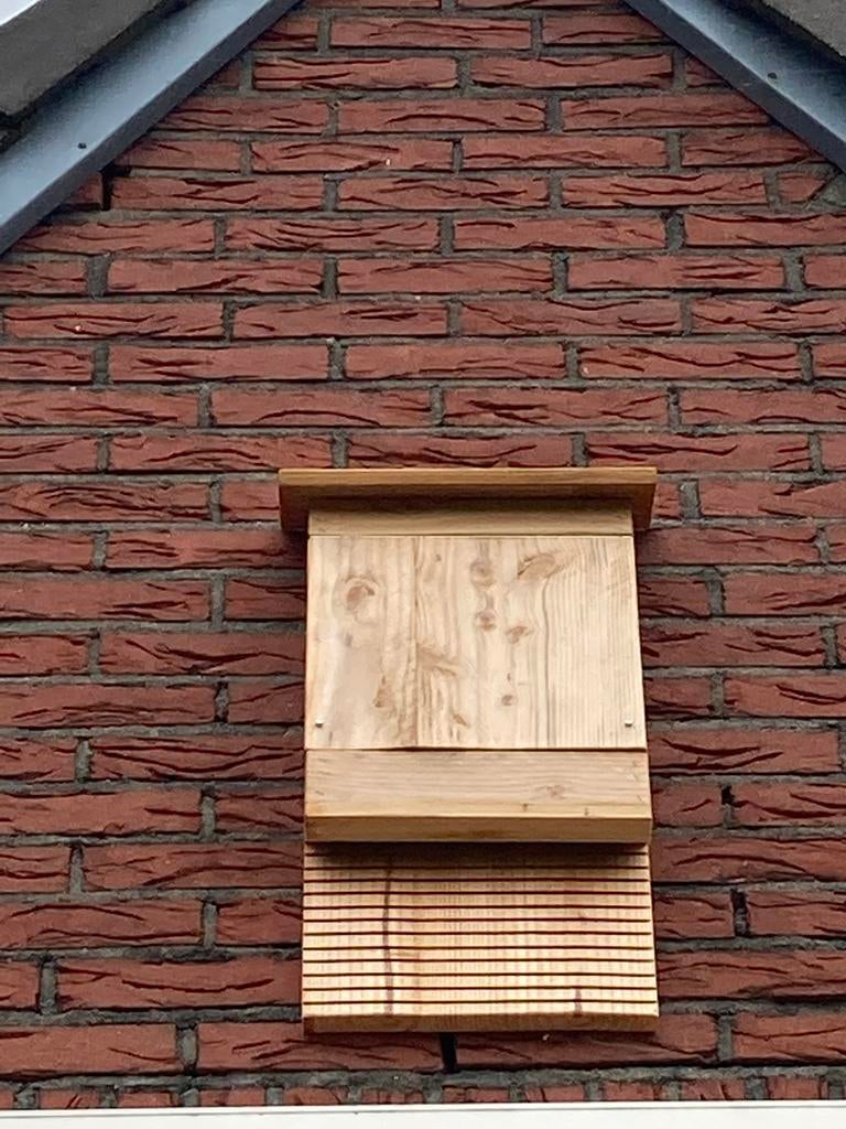Duurzame vleermuizenkast van Douglas hout, Tuin en Terras, Ophalen of Verzenden, Nieuw